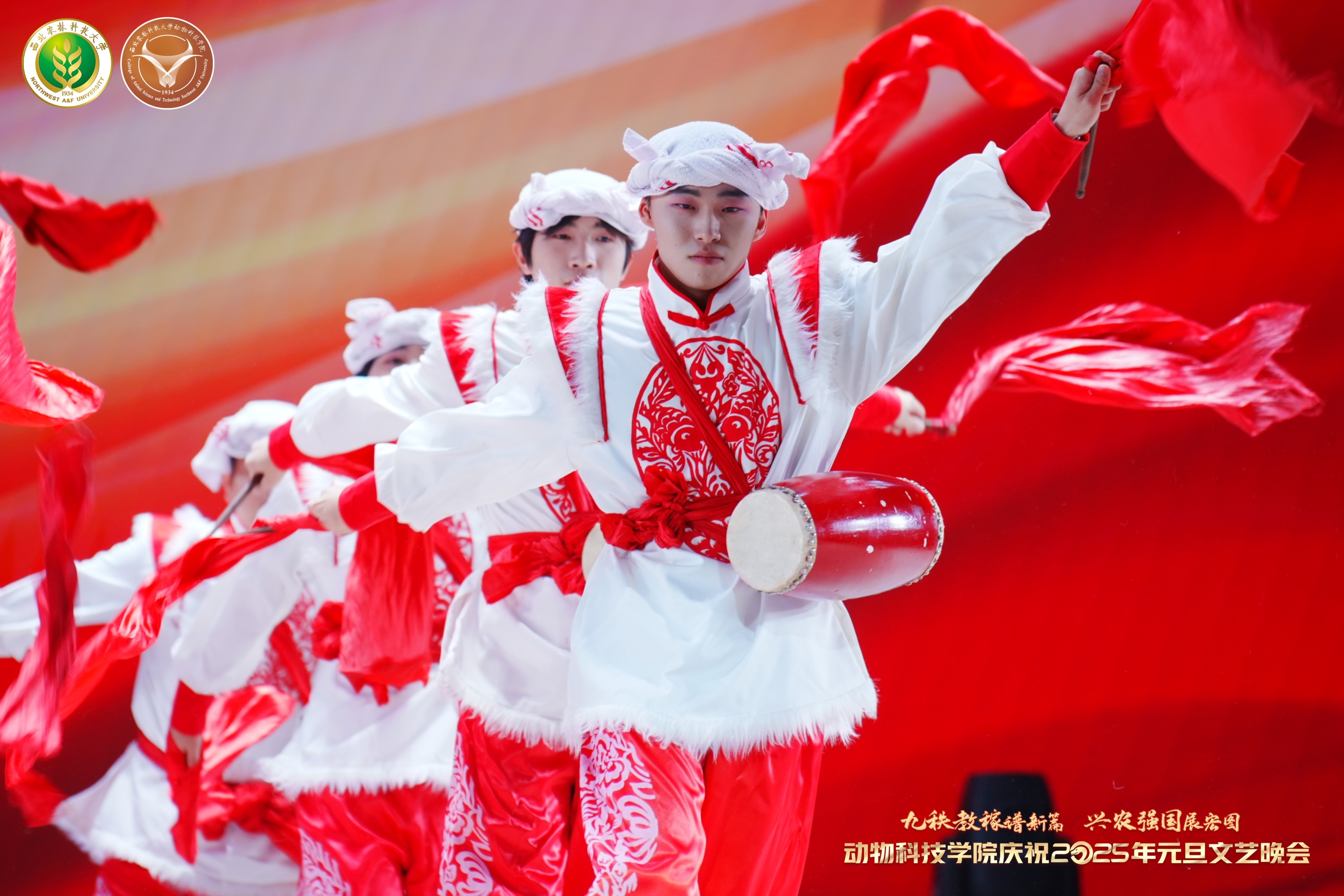 中国禧福祥(2).jpg
