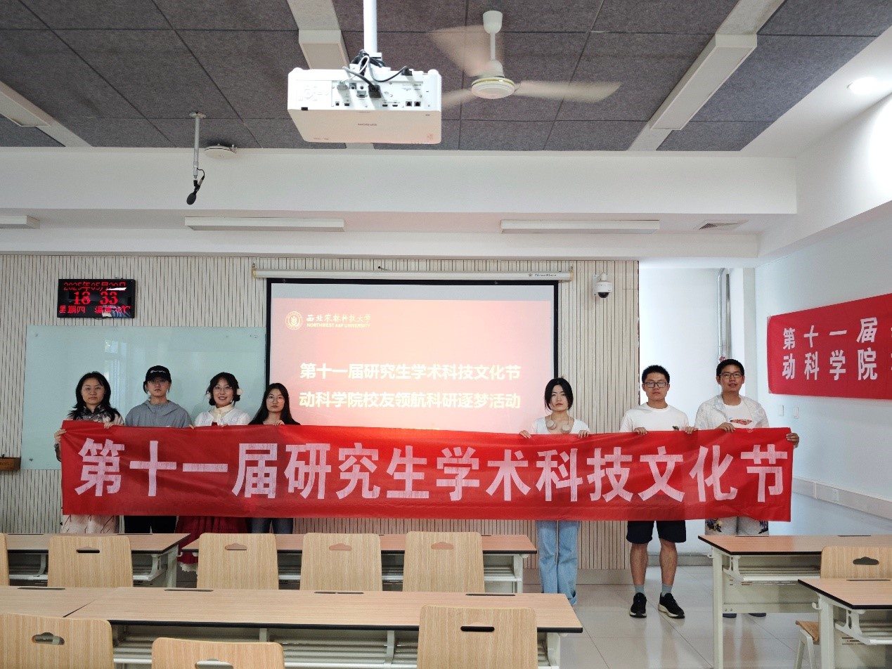 活动.jpg