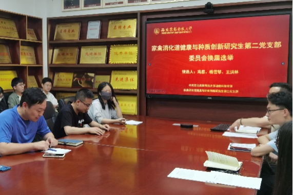 图片2.png