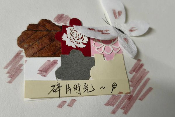 图七动科2506曲婉茹同学的作品.jpg
