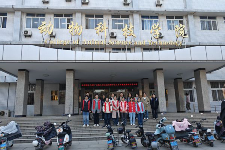 志愿者合影.png