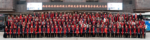 a0b6089e537a44658e84c8c5f351a93e.jpg