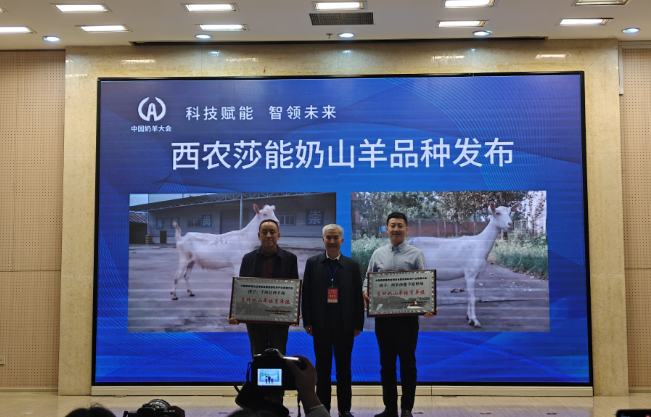 QQ_1775204463225.png