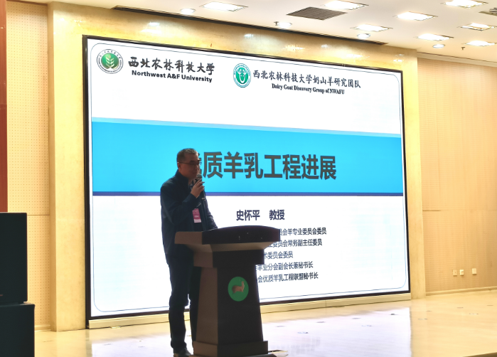QQ_1775204564740.png
