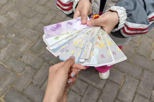 图二 各式各样的字卡在等待有缘人.jpg