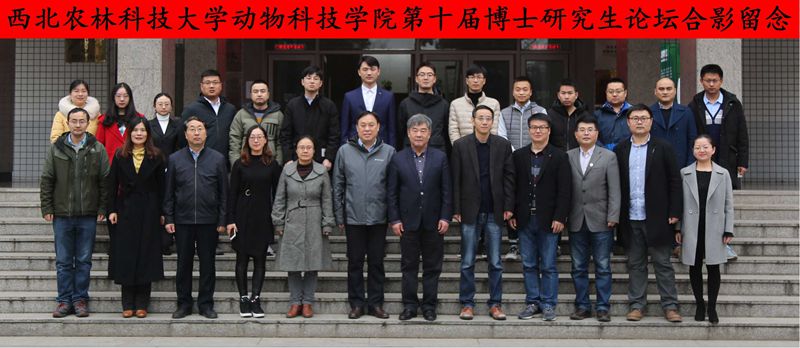 6fc065ab499a448abdb14e06f9b3e2c2.jpg