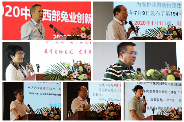 b46839a01365417a919e3a2d0b3f2eef.jpg NeoImage_副本_副本.jpg