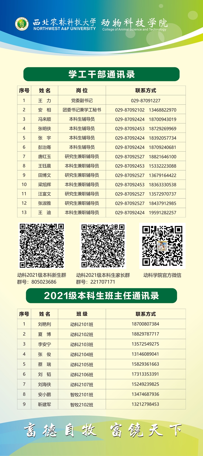 8b9d1f72c0cc43a7b2c23ca0140efcb9.jpg 动科立屏画面01_副本.jpg