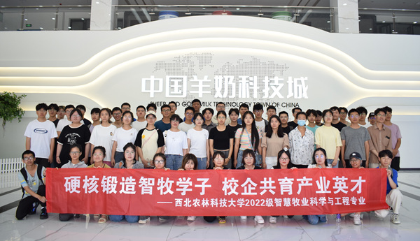 ab64e7756b63485fb467d6e9d55c4ea2.png 5.png