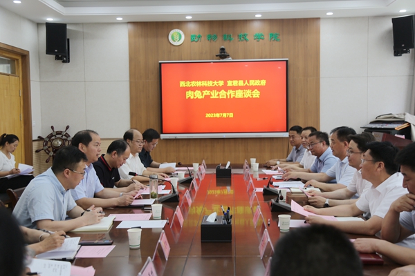 00acabbf3ec5404eaee2b69ec865eecf.jpg 会场.jpg