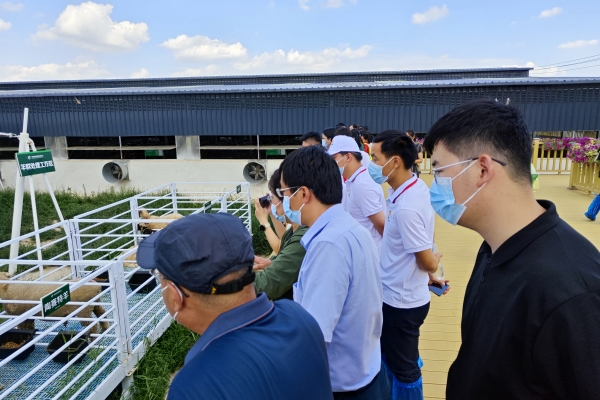 8b3420c7b9624de396ab92d878bf6c78.jpg 图片三 杨雨鑫老师向大家介绍全自动羊群工作系统的工作模式.jpg