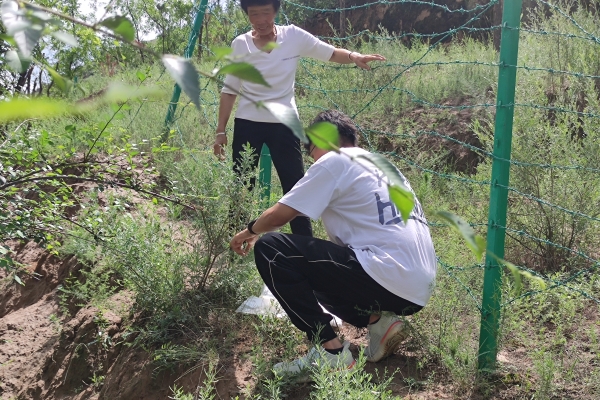 eba09c5348114e4eadb565081e5fd48f.jpg 图片一 队员收集当地特色饲草资源_副本.jpg
