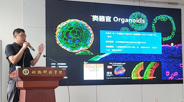 74c6965966f841d3bbd745fbcc9d2aa2.jpg 报告.jpg